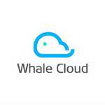 Whale Cloud Gaming