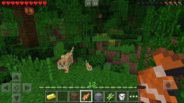 jenny mod for minecraft apk