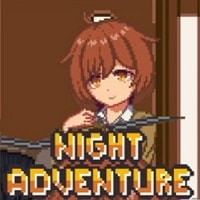 Night Adventuret