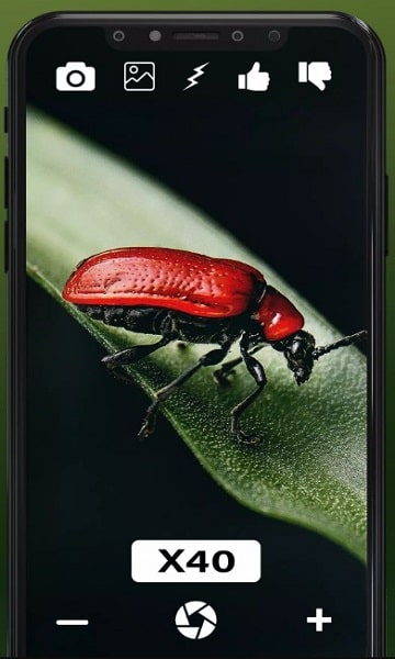 Maximum Zoom APK Latest Version