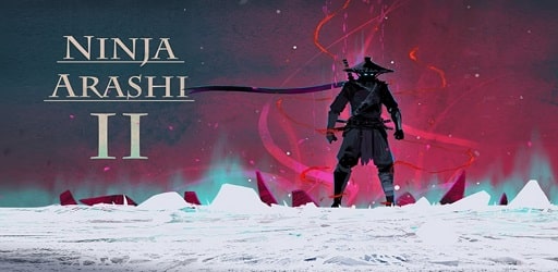 Ninja Action