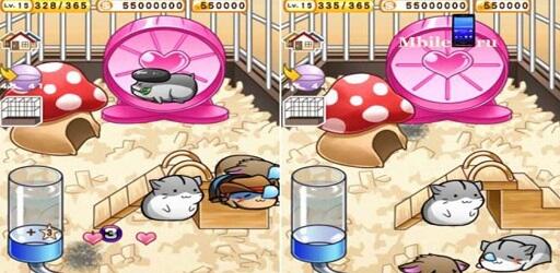 Hamster Live