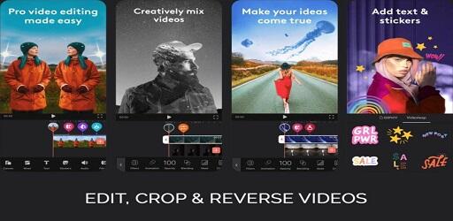 Videoleap 2024