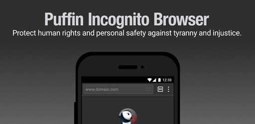 Puffin Incognito Browser