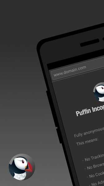 Puffin Incognito Browser APK Latest Version