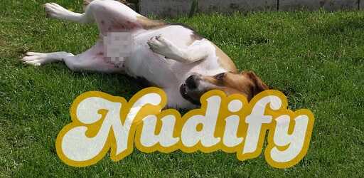 Nudify