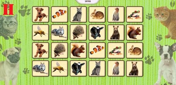 Lovely Pet APK IOS