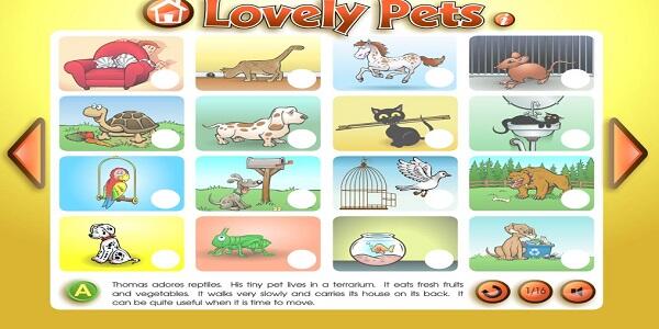 Lovely Pet App