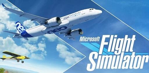 Microsoft Flight Simulator