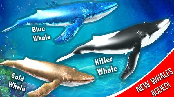 Blue Whale Game Mod APK