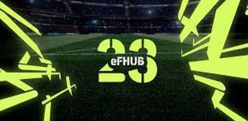 eFHUB 24