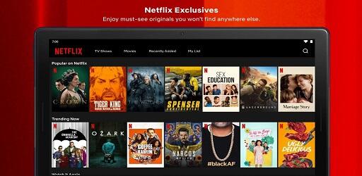 Netflix Mirror