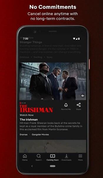 Netflix Mirror APK Download