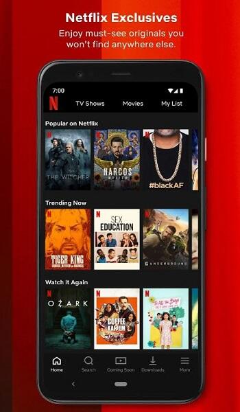 Netflix Mirror App