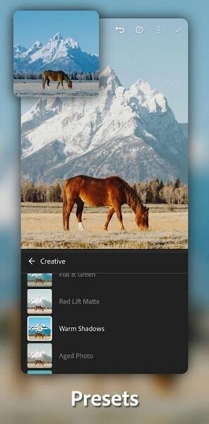 Lightroom Mod APK