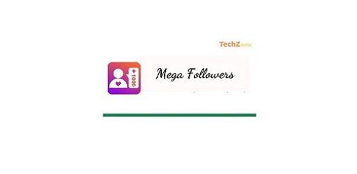 Mega Followers