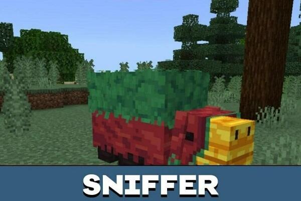 Minecraft 1.20.50.20 APK Download Latest Version For Android
