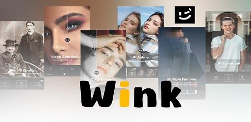Wink-Video Retouching Tool