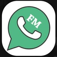 FM Whatsapp 9.82