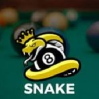 Snake 8 Ball Pool 2024