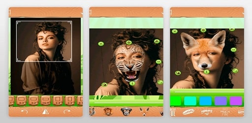 Animal Face