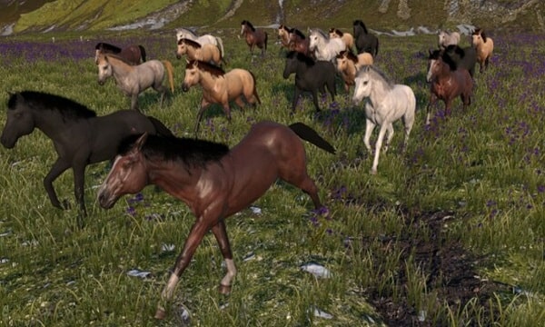 Horse Life Simulator