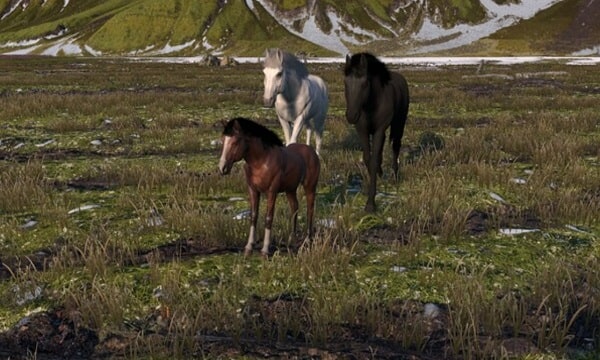 Horse Life Simulator Download