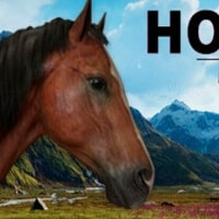 Horse Life Simulator