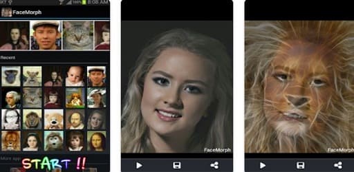 AI Morph