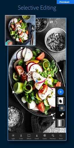 Adobe Lightroom Mod APK Full Preset Android