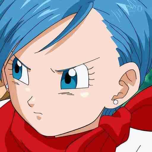 Bulma Adventure 4