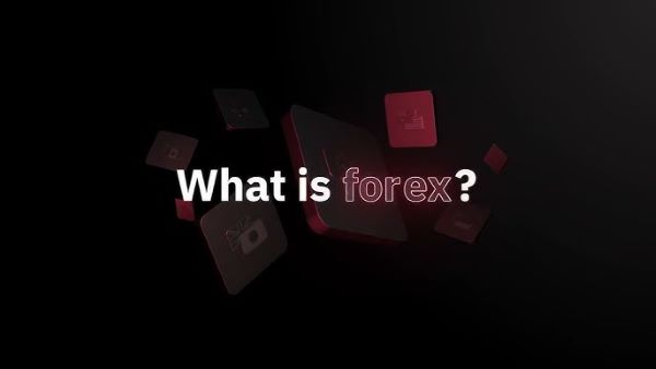 Forex Wizard