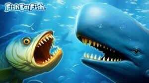 Fish Eat Fish