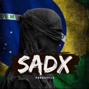 Sadx Painel