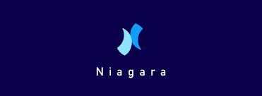 Niagara Launcher Pro