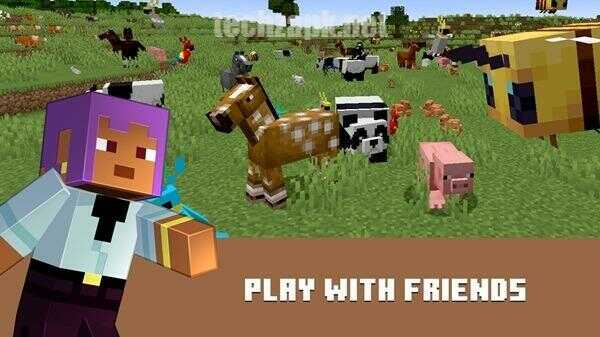 Download Minecraft 1.21.114 Mod APK