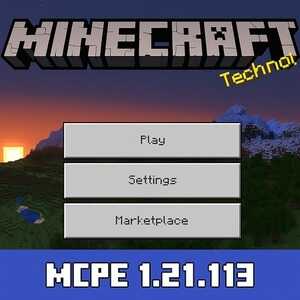 Minecraft 1.21.113