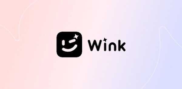 Wink AI