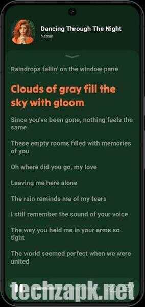 Lark Player App