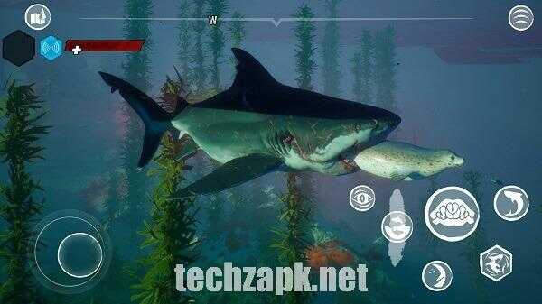 Maneater Download