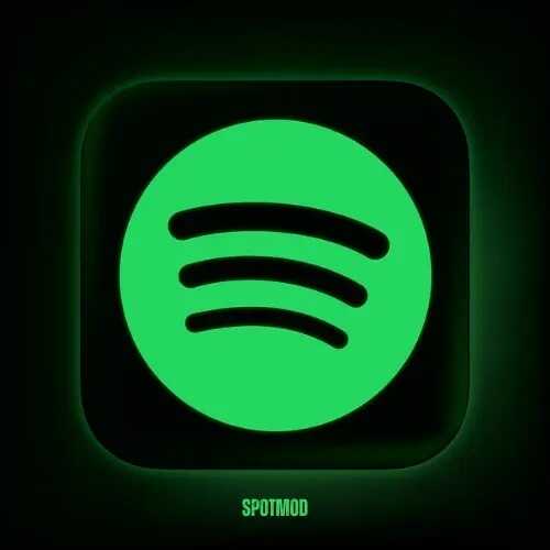 Spotify Wrapped 2025