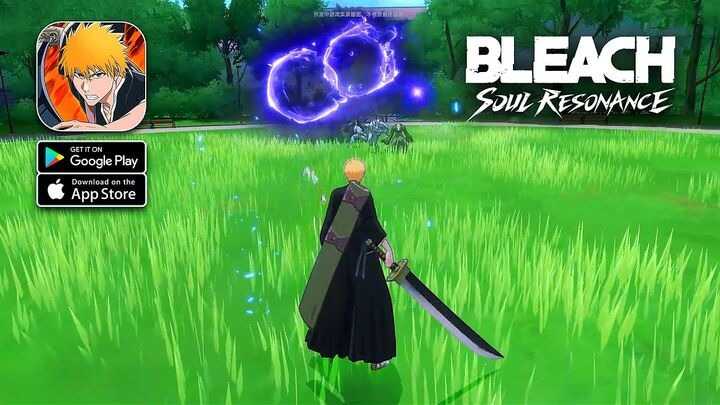 Bleach Soul Resonance