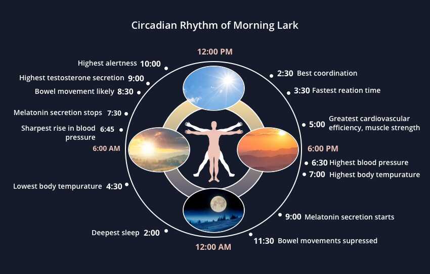 Circadian AI