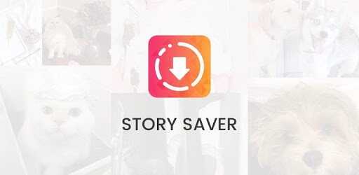 Story Saver Instagram