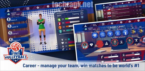 Fine Volleyball APK Android