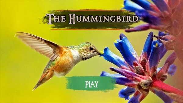 Hummingbird