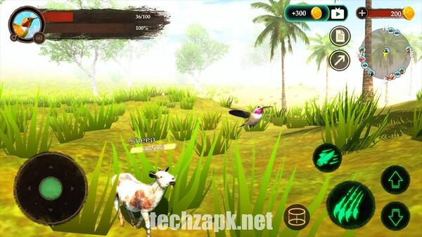 Hummingbird APK Free