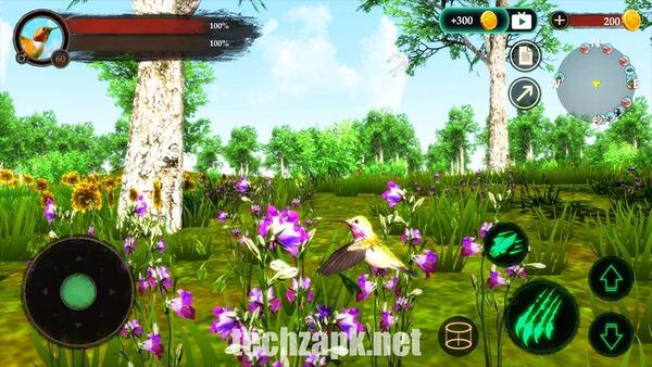 Hummingbird Game APK