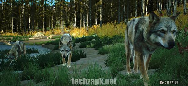 Way Of the Hunter Wild America Download