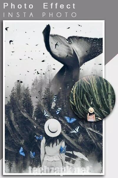 Picart APP APK